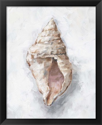 Framed White Shell Study III Print