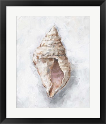 Framed White Shell Study III Print