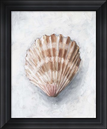 Framed White Shell Study IV Print