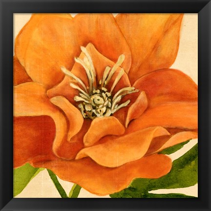 Framed Copper Petals II Print