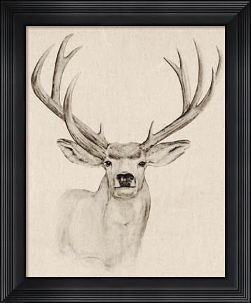 Framed Natural Buck I Print
