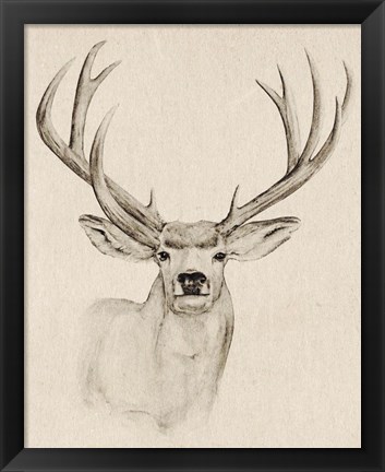 Framed Natural Buck I Print