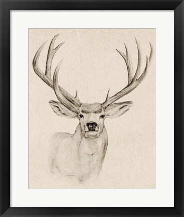 Framed Natural Buck I Print