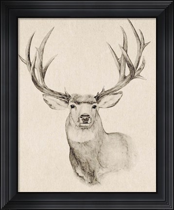 Framed Natural Buck II Print