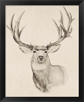 Framed Natural Buck II Print