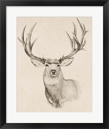 Framed Natural Buck II Print