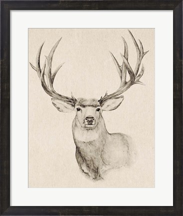 Framed Natural Buck II Print