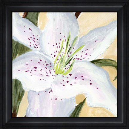 Framed White Lily I Print