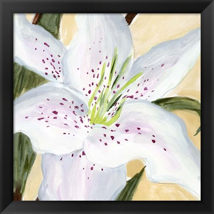 Framed White Lily I Print