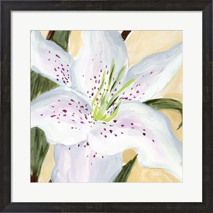 Framed White Lily I Print