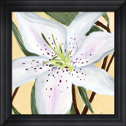 Framed White Lily II Print