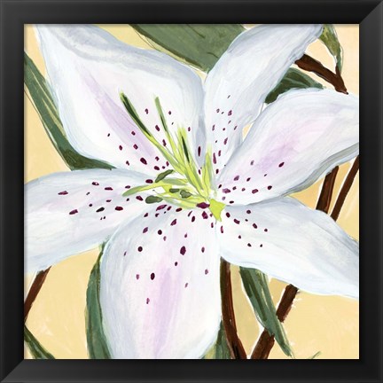 Framed White Lily II Print