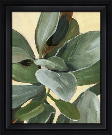 Framed Plant Study I Print