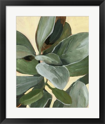 Framed Plant Study I Print