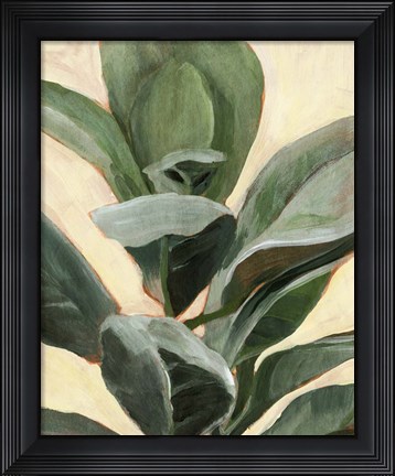 Framed Plant Study II Print