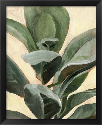 Framed Plant Study II Print