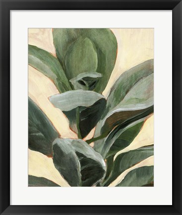 Framed Plant Study II Print