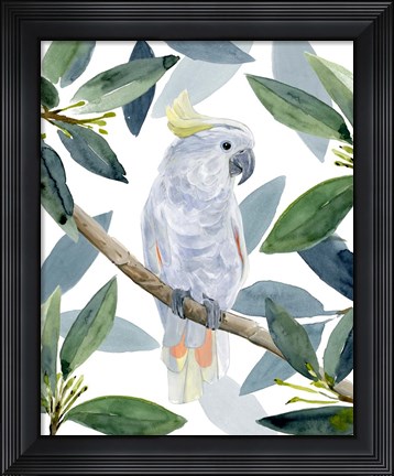 Framed Cockatoo Perch I Print