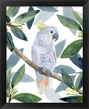 Framed Cockatoo Perch I Print