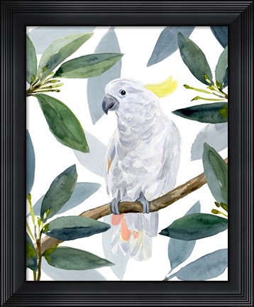 Framed Cockatoo Perch II Print