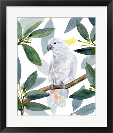 Framed Cockatoo Perch II Print