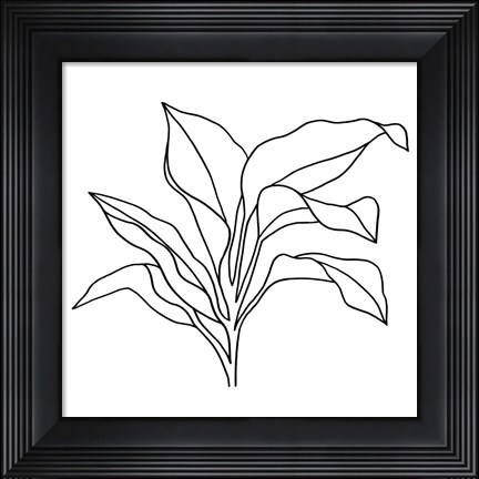 Framed Foliage Contour I Print