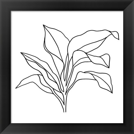 Framed Foliage Contour I Print