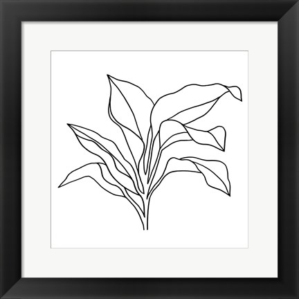 Framed Foliage Contour I Print