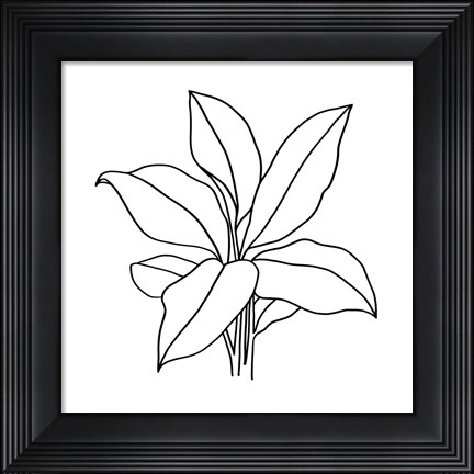 Framed Foliage Contour II Print