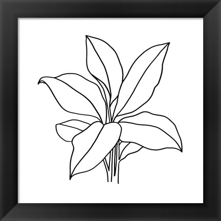 Framed Foliage Contour II Print