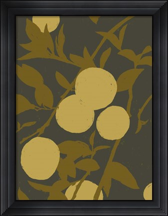 Framed Golden Satsuma I Print