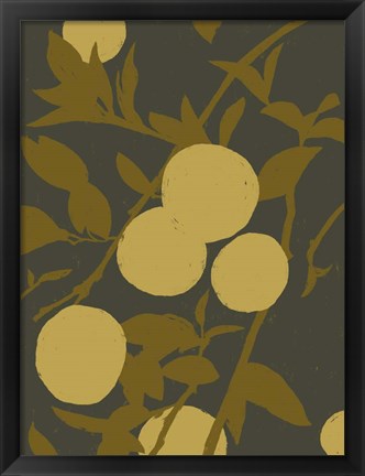 Framed Golden Satsuma I Print