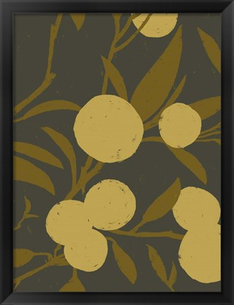 Framed Golden Satsuma II Print