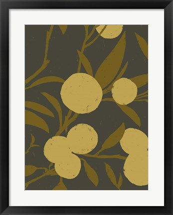 Framed Golden Satsuma II Print