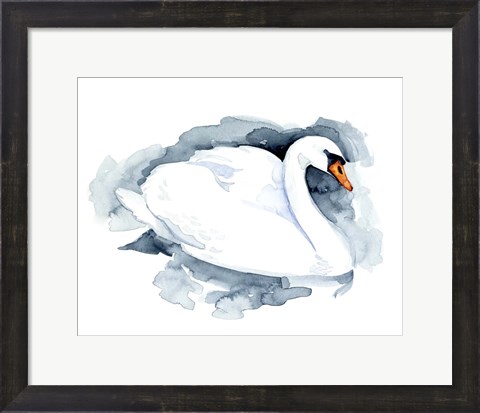 Framed Silverlake Swan I Print