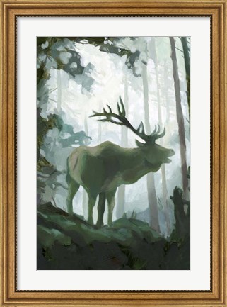 Framed Elemental Animals II Print