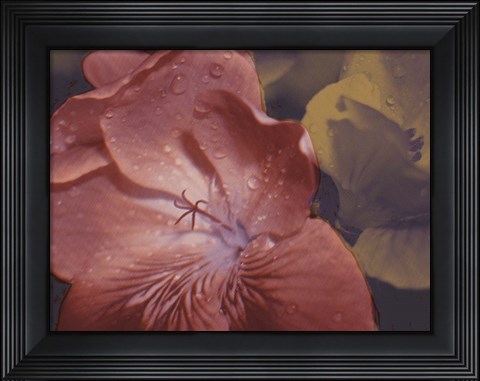 Framed Garden Geraniums II Print