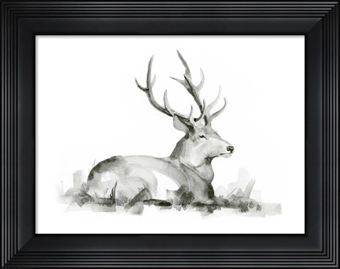 Framed Recumbent Stag I Print
