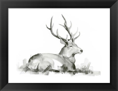 Framed Recumbent Stag I Print