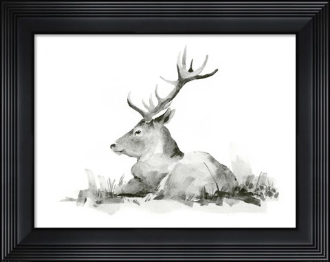 Framed Recumbent Stag II Print