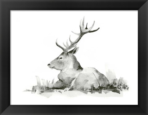 Framed Recumbent Stag II Print