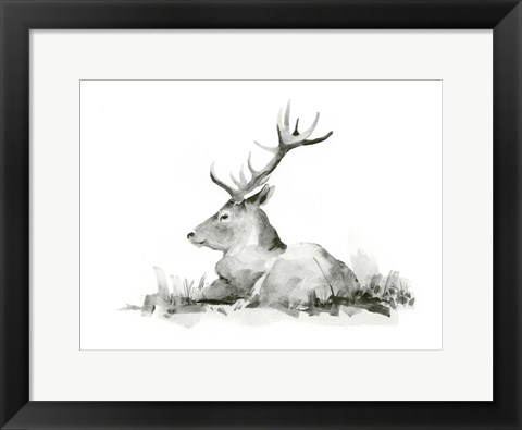 Framed Recumbent Stag II Print