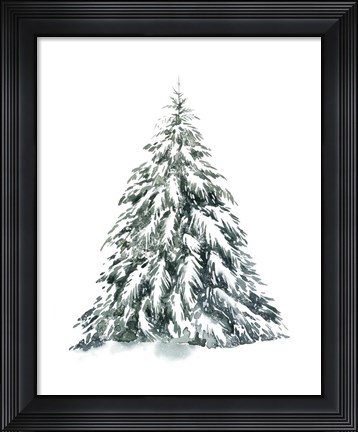 Framed Blue Spruce I Print