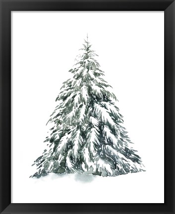 Framed Blue Spruce I Print