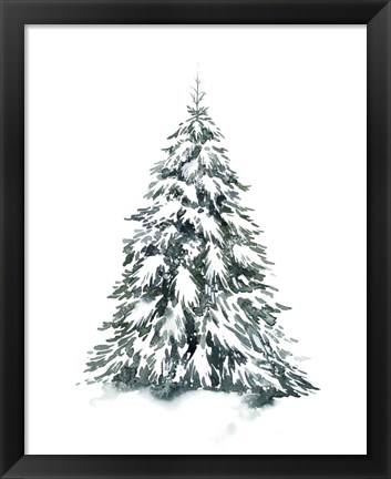 Framed Blue Spruce II Print