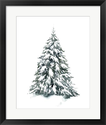 Framed Blue Spruce II Print