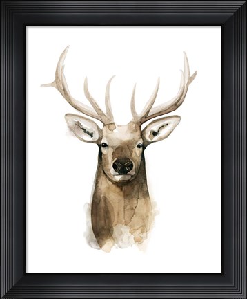 Framed Watercolor Elk Portrait I Print