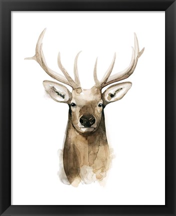 Framed Watercolor Elk Portrait I Print