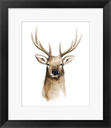 Framed Watercolor Elk Portrait II Print