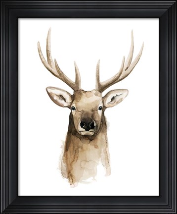 Framed Watercolor Elk Portrait II Print